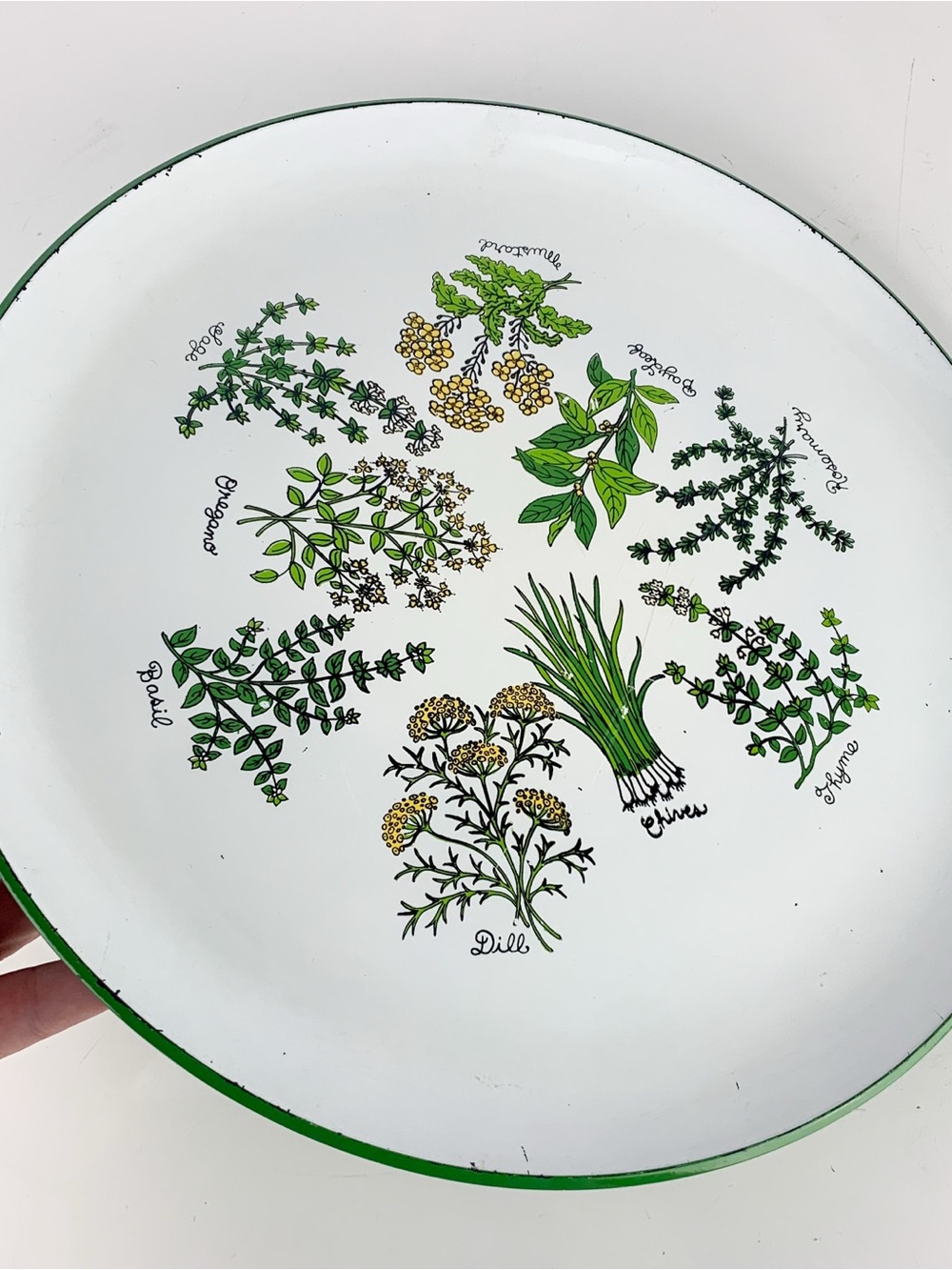 Vintage Lacquerware Tray Retro Garden Herbs Dill Chives Lorrie Design Green 13"